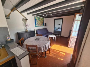 Appartement accueillant avec vue sur la montagne et le lac, 45 m²